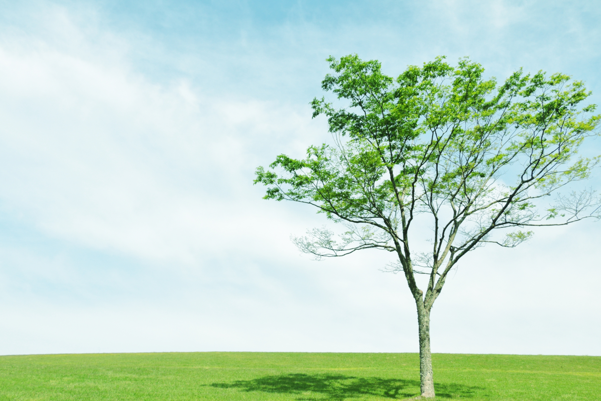 クリニック外観